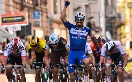 Alaphilippe MSR19