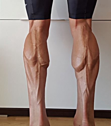 marcz legs